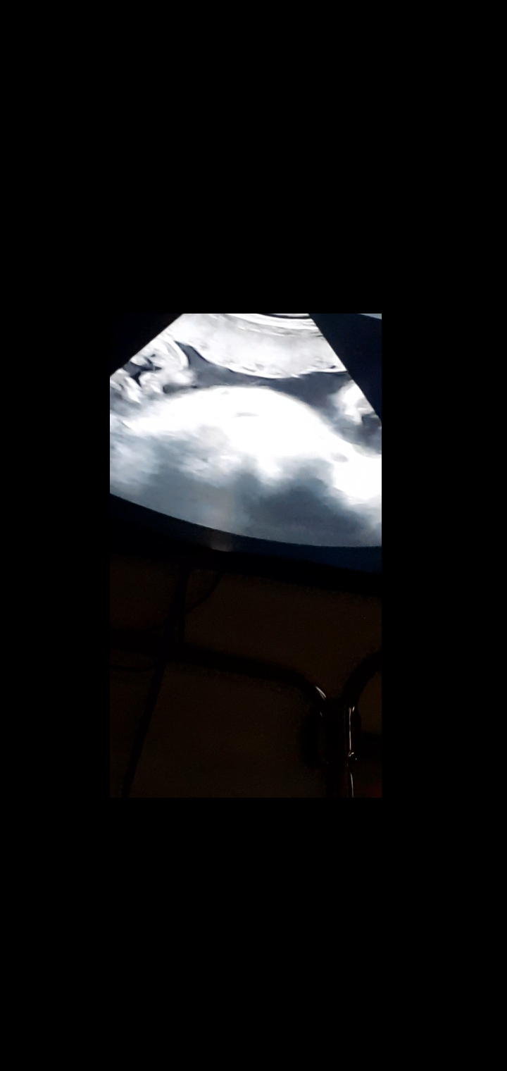 Screenshot_20231119-204751_Video Player.jpg