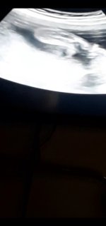 Screenshot_20231114-092551_HD Video Player.jpg