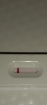 Screenshot_20231217-204506.png